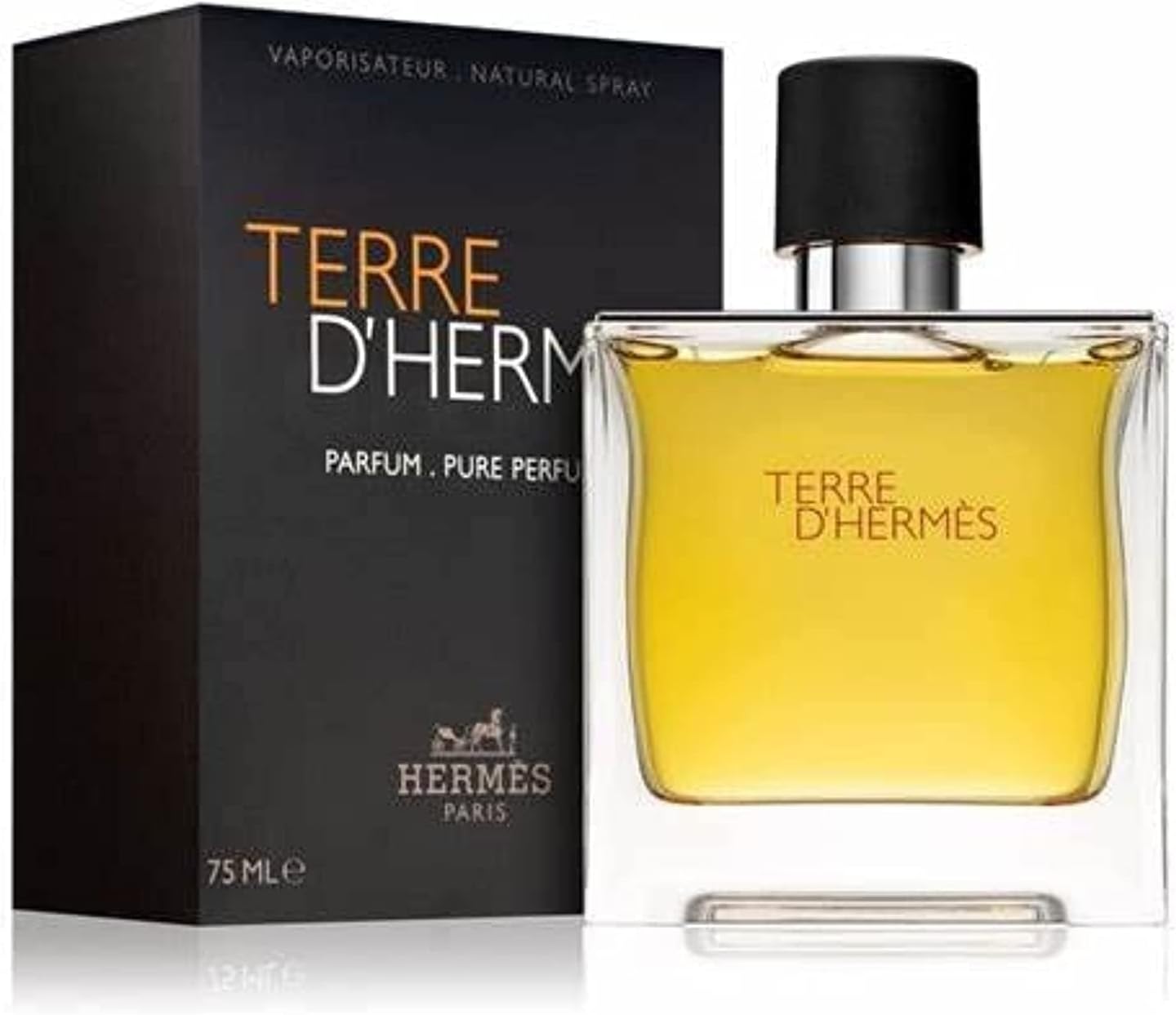 Hermes Men's Terre D Perfume (75ml)