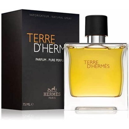 Hermes Men's Terre D Perfume (75ml)