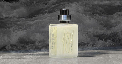 Cerruti 1881 for Men -Eau De Toilette, 100 ML