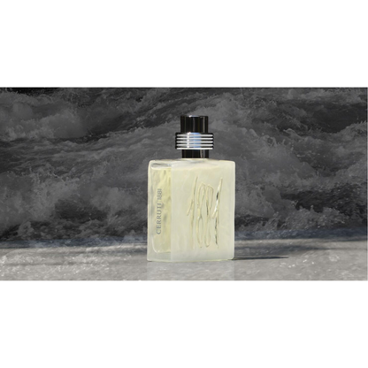 Cerruti 1881 for Men -Eau De Toilette, 100 ML
