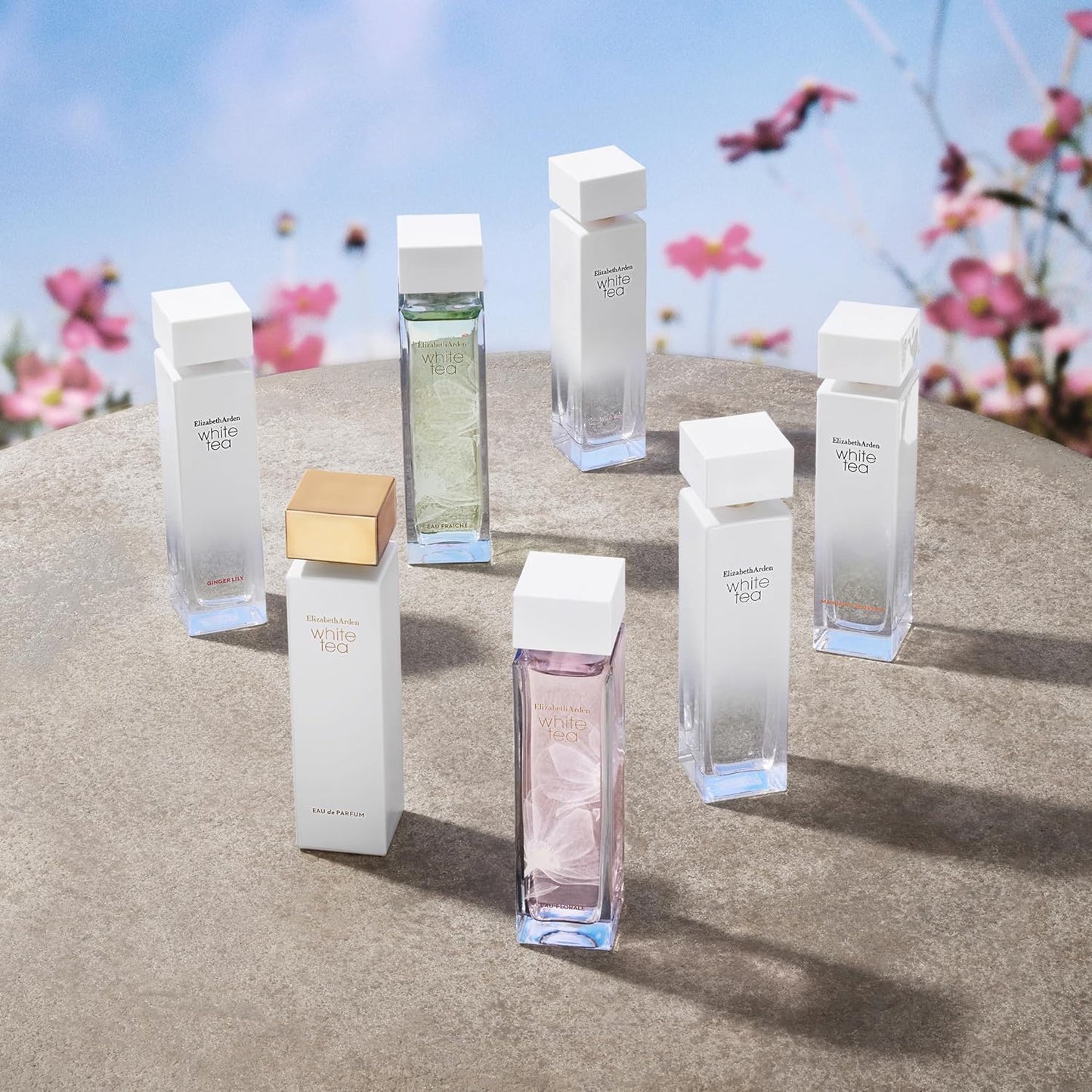 Elizabeth Arden White Tea Eau Florale Perfume for Women Eau De Toilette 100ML