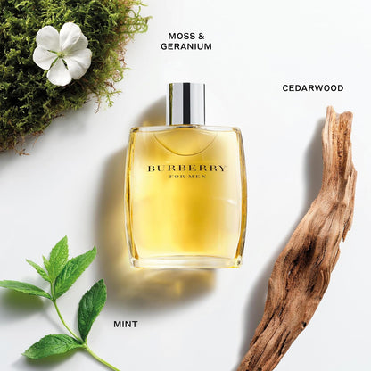 Burberry Perfume - Burberry by Burberry - perfume for men - Eau de Toilette, 100 ml, clear